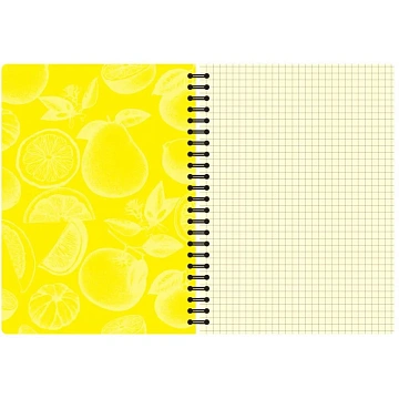 Бизнес-тетрадь  ароматизир.100л,кл,А5, КЛЕМЕНТИН,спир,тонир.блок 84906