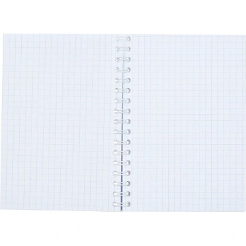 Бизнес-тетрадь А6,80л,кл,бок.греб,карт+УФлак Attache Selection TravelItaly