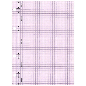 Сменный блок для тетради на кольцах, А5, 200 л., BRAUBERG, 4 цвета по 50 листов, 401661