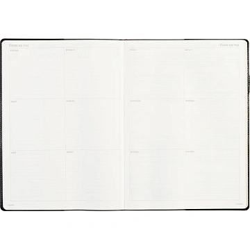 Еженедельник недатированный черный,кожа,A4 64л,Br.V.PROFY 3-098/02