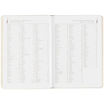 Ежедневник недатированный белый,А5,145х205мм,136л, Sidney NEBRASKA 3-128/06