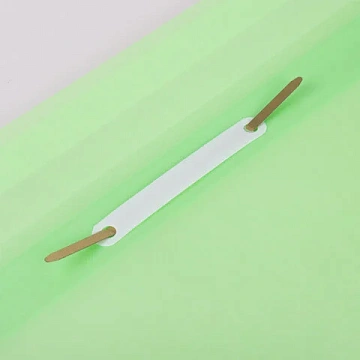 Скоросшиватель пластиковый BRAUBERG 'Pastel' А4, 130/180 мкм, мятный, 270458