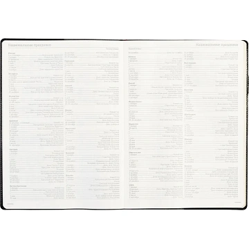 Еженедельник недатированный черный,кожа,A4 64л,Br.V.PROFY 3-098/02