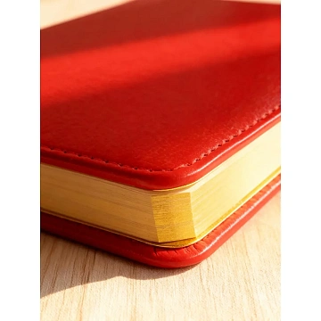 Ежедневник недатированный красн,А5,145х205мм,136л, Sidney NEBRASKA 3-128/08