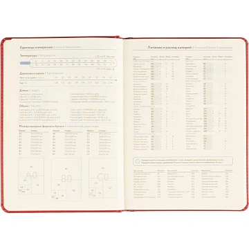 Ежедневник недатированный ATTACHE Classic А5, 140х200мм, 136л, красный