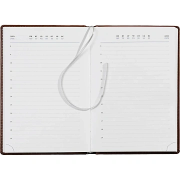 Ежедневник недатированный коричн, А5, 148x218, 352стр, Agenda