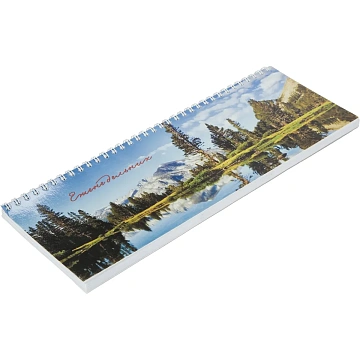 Планинг недатированный 295х100 56 л.Пт 4603721416431