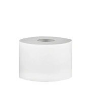 Туалетная бумага Merida TB1401 в рулоне, Топ, 2 слоя, 80м, белая, 16шт/уп