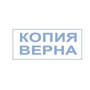 Штамп стандартный 'КОПИЯ ВЕРНА', оттиск 38х14 мм, синий, TRODAT 4911P4-3.45, 4911-3.45