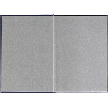 Ежедневник датированный 2026 А5+ IDEAL NEW синий 3-344/05