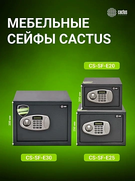 Сейф Cactus CS-SF-E20 200x310x200мм, электронный