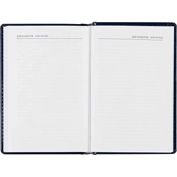 Ежедневник недатированный синий, А6,100x150, 320стр, Agenda