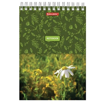 Блокнот А5, 146х205 мм, 60 л., гребень, картон, жесткая подложка, клетка, BRAUBERG, 'Четыре сезона',