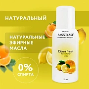 Сменный баллон аэрозольный 75 мл (аналог TORK, Система А1) AMBER AIR 'Цитрусовый фреш', 2257