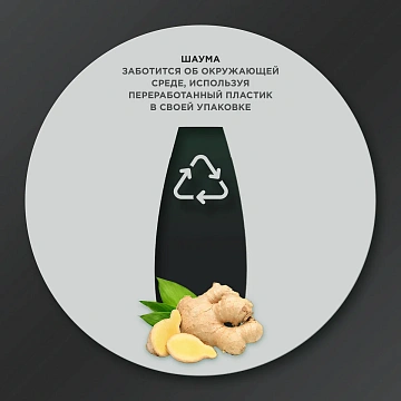 Шампунь Шаума Men Против перхоти Интенсивный, 650мл