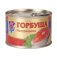 5 Морей
