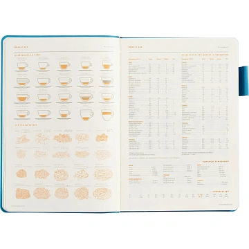 Ежедневник недатированный А5 BOSTON (СИНИЙ) 3-228/06