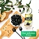 Маслины Botanica без косточки, 280г