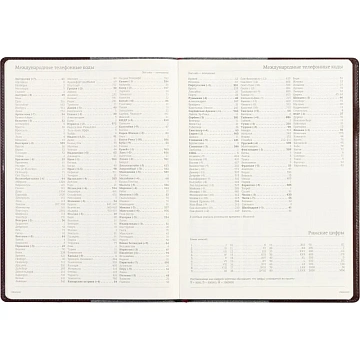 Еженедельник недатированный коричнев,A4,222х302мм,64л,Br.V.PROFY 3-098/03