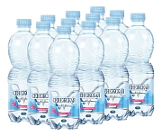 Вода Сенежская питьевая газированная, 500мл x 12 шт
