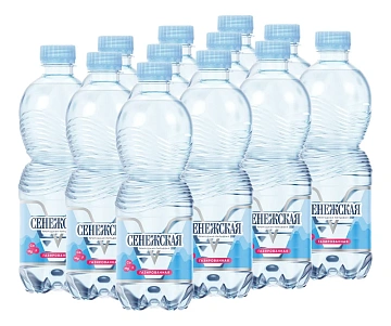 Вода Сенежская питьевая газированная, 500мл x 12 шт