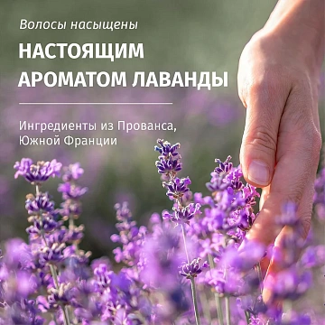 Шампунь Herbal Essences Питание Аромат лаванды, 350мл