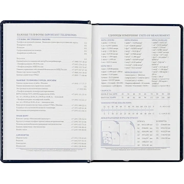 Ежедневник недатированный синий, А6,100x150, 320стр, Agenda