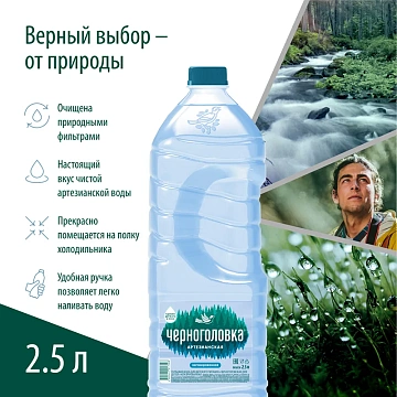 Вода питьевая Черноголовская 2.5л, ПЭТ