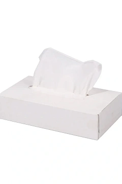 Косметические салфетки Plushe 100шт, 2 слоя, белые