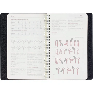 Ежедневник недатированный А5 ALBA черный, 136л 3-783/01
