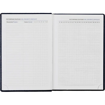 Ежедневник недатированный синий, А5, 148x218, 352стр, Agenda