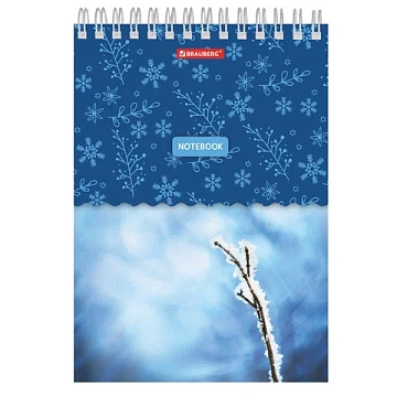 Блокнот А5, 146х205 мм, 60 л., гребень, картон, жесткая подложка, клетка, BRAUBERG, 'Четыре сезона',