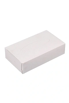 Косметические салфетки Plushe 100шт, 2 слоя, белые