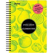 Бизнес-тетрадь  ароматизир.100л,кл,А5, КЛЕМЕНТИН,спир,тонир.блок 84906