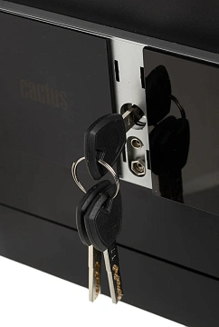 Сейф Cactus CS-SF-T25 250x350x300мм, электронный