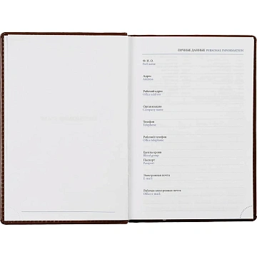 Ежедневник недатированный коричн, А5, 148x218, 352стр, Agenda
