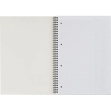 Бизнес-тетрадь 100л,кл,А4,LightBook,спираль,обл.синий,блок белый 70г/м