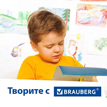 Картон цветной А4 МЕЛОВАННЫЙ, 24 листа, 8 цветов, в папке, BRAUBERG, 200х290 мм, 'Цвета', 113550