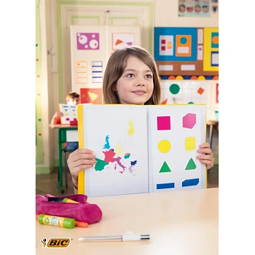 Клей-карандаш BIC 'ECOlutions', 8 г, 8923442