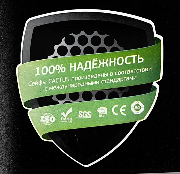 Сейф Cactus CS-SF-T25 250x350x300мм, электронный
