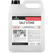 Универсальный моющий концентрат Pro-Brite Salt Stone 161-5, 5л, против высолов на фасадах