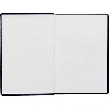 Ежедневник недатированный синий, А5, 148x218, 352стр, Agenda
