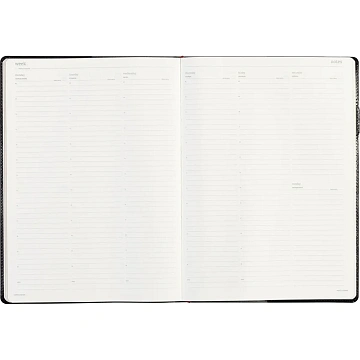 Еженедельник недатированный черный,кожа,A4 64л,Br.V.PROFY 3-098/02