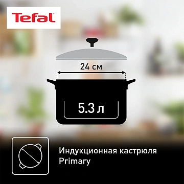 Кастрюля с крышкой Tefal Primary 5.3л, 24см