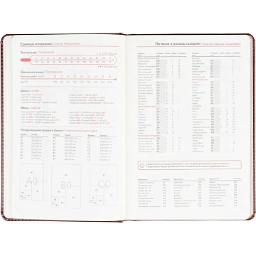 Ежедневник недатированный ATTACHE Gold А5,143х210мм, 160л, коричневый