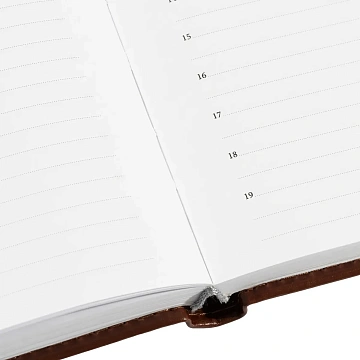 Ежедневник недатированный коричн, А5, 148x218, 352стр, Agenda