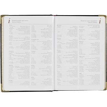 Ежедневник недатированный А5+, 145х205,Sidney Nebraska,чер,з.уг 3-128/17