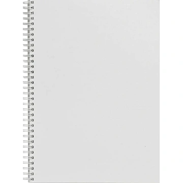 Бизнес-тетрадь Attache Cristal,120л,клет,А4,спир,обл.мел.карт