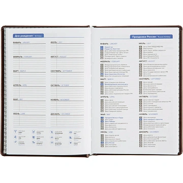 Ежедневник недатированный Attache Selection Gloss, А5,160л., корич,нат.кожа