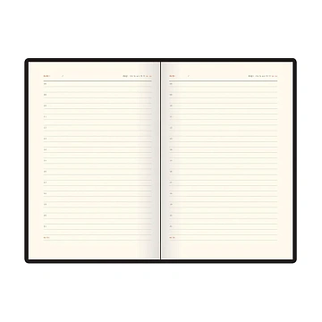 Ежедневник недатированный А5 BOSTON (СИНИЙ) 3-228/06